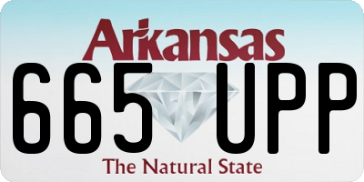 AR license plate 665UPP