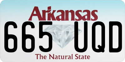 AR license plate 665UQD