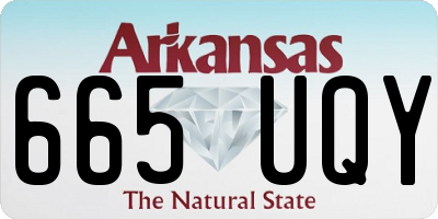 AR license plate 665UQY