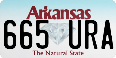 AR license plate 665URA