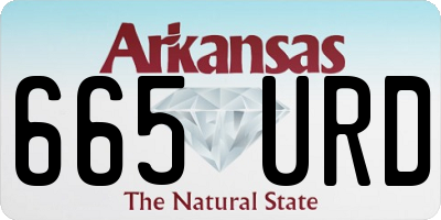 AR license plate 665URD