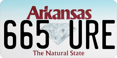 AR license plate 665URE
