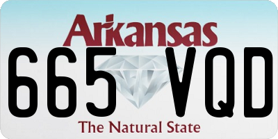 AR license plate 665VQD