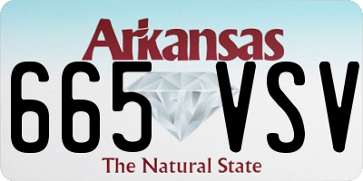 AR license plate 665VSV
