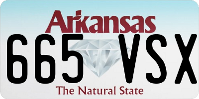 AR license plate 665VSX