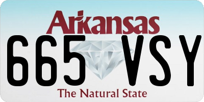 AR license plate 665VSY