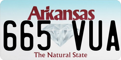 AR license plate 665VUA