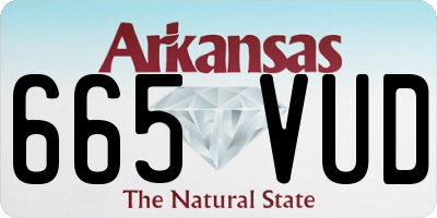 AR license plate 665VUD