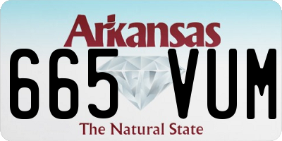 AR license plate 665VUM