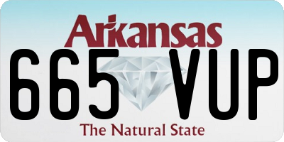 AR license plate 665VUP