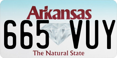 AR license plate 665VUY