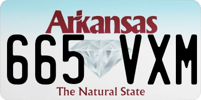 AR license plate 665VXM