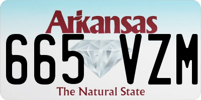 AR license plate 665VZM