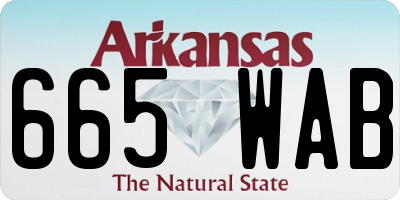 AR license plate 665WAB
