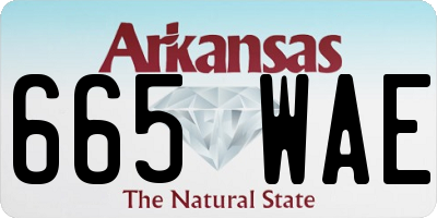 AR license plate 665WAE