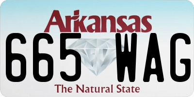 AR license plate 665WAG