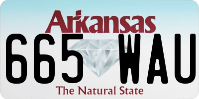 AR license plate 665WAU