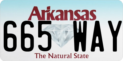 AR license plate 665WAY