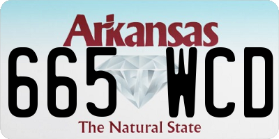 AR license plate 665WCD