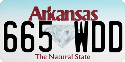 AR license plate 665WDD