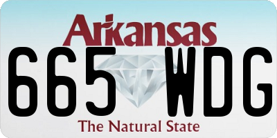 AR license plate 665WDG