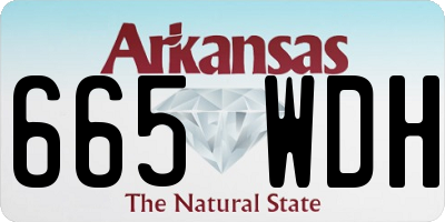 AR license plate 665WDH