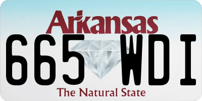 AR license plate 665WDI
