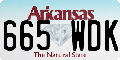 AR license plate 665WDK