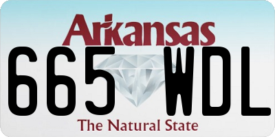 AR license plate 665WDL