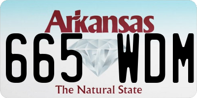 AR license plate 665WDM