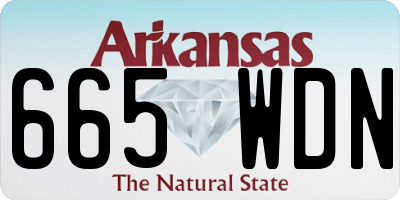 AR license plate 665WDN