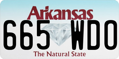 AR license plate 665WDO