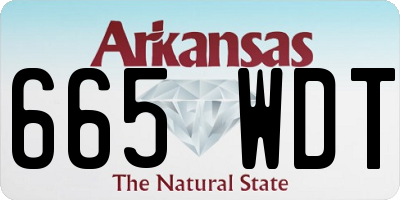 AR license plate 665WDT