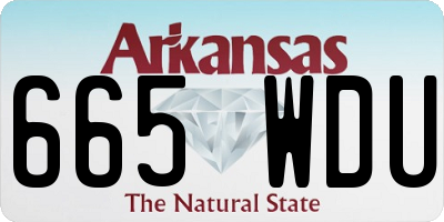 AR license plate 665WDU