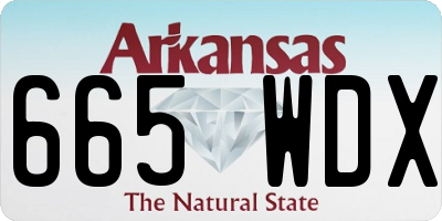 AR license plate 665WDX