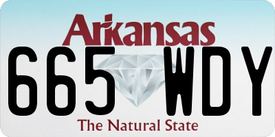 AR license plate 665WDY