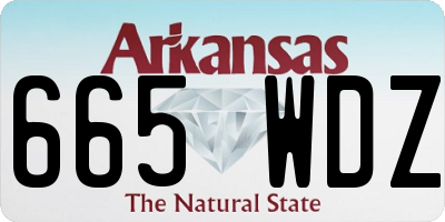 AR license plate 665WDZ