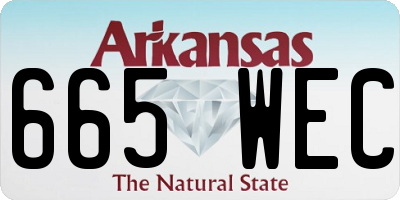 AR license plate 665WEC