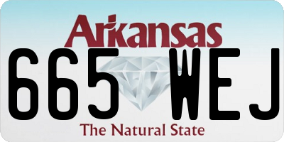 AR license plate 665WEJ