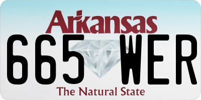 AR license plate 665WER