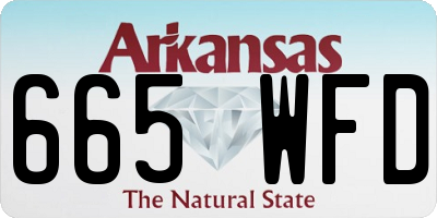 AR license plate 665WFD