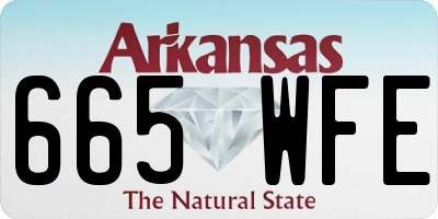 AR license plate 665WFE