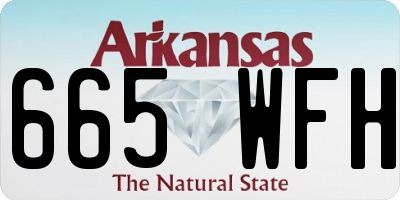 AR license plate 665WFH