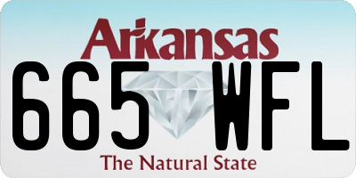 AR license plate 665WFL