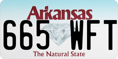 AR license plate 665WFT