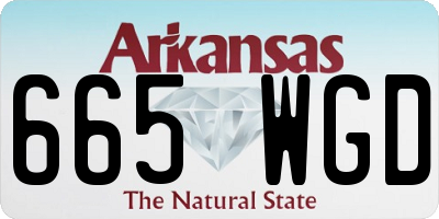 AR license plate 665WGD