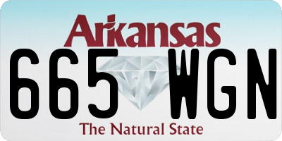 AR license plate 665WGN