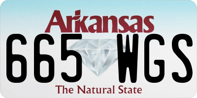 AR license plate 665WGS