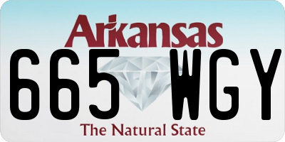 AR license plate 665WGY