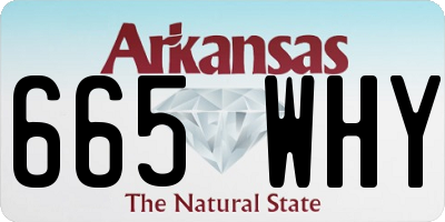 AR license plate 665WHY